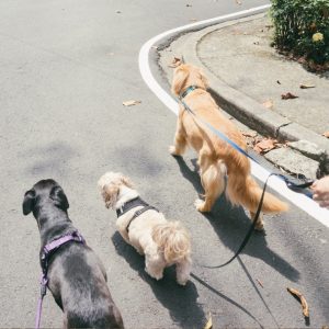 2b6a120b-59ae-441d-926e-58c50222a1d9