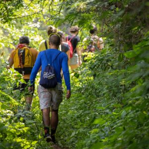 2d782e58-8998-4dbd-8949-8c766ba971c7