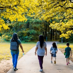 8d3d11ab-8c75-49c5-b6a6-f9e54e91ec60